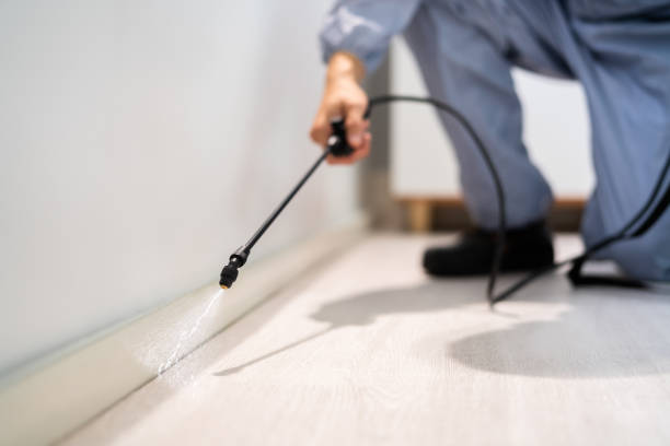 Licensed Termite Control service in Union Parish County, LA - Nex Pest Control